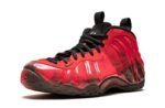 Air Foamposite One “Doernbecher”