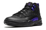 Jordan 12 “Dark Concord”