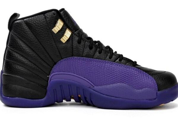 Air Jordan 12 Retro Field Purple CT8013-057