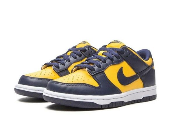 Dunk Low Michigan CW1590-700