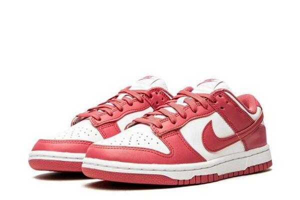 Nike Dunk Low Archeo Pink DD1503-111