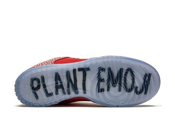 Stingwater x Nike SB Dunk Low “Magic Mushroom”