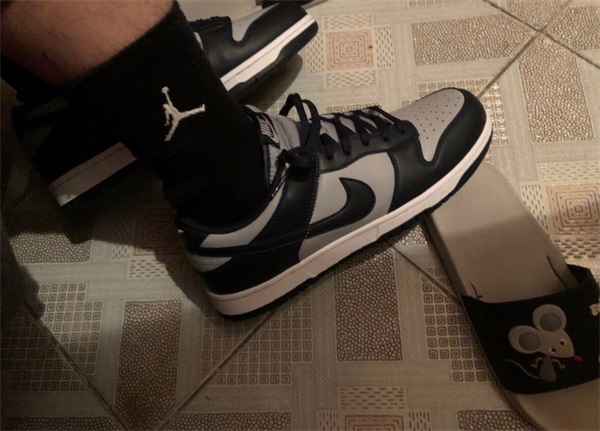 Nike Dunk Low 'Georgetown' photo review