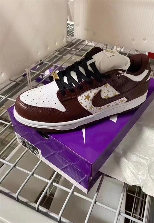 Nike Supreme x Dunk Low OG SB QS 'Barkroot Brown' photo review