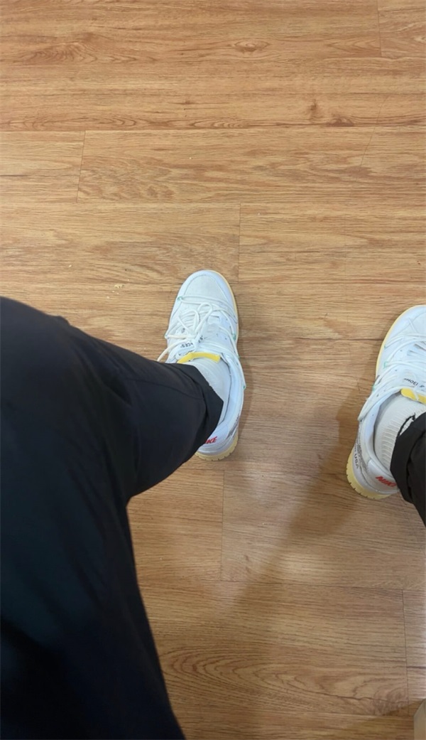 Off-White Dunk Low "Lot 1" photo review